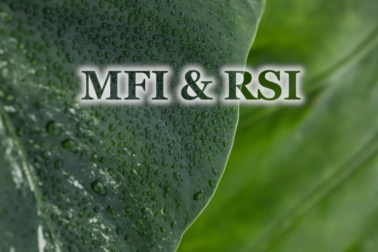 MFI i RSI miniatura