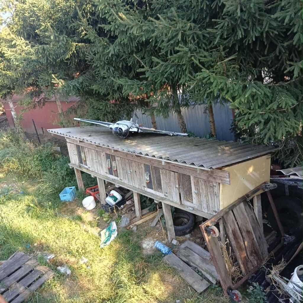 Dron z dykty krolik 1