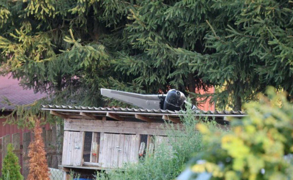 Dron z dykty krolik 2