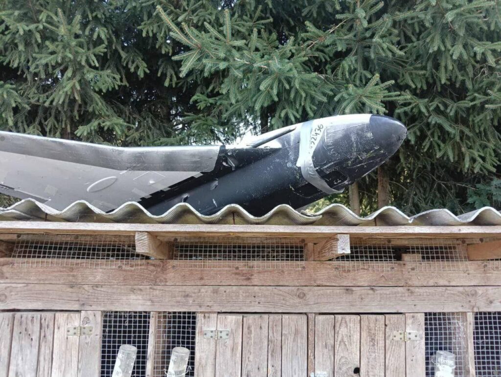 Dron z dykty krolik 3