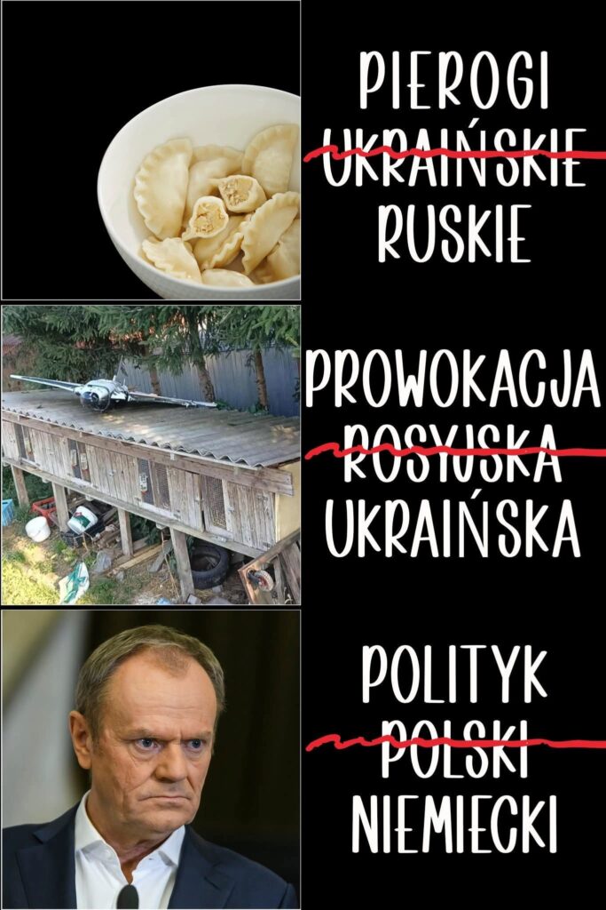 Walk z dezinformajca mem