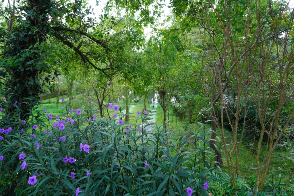 Chiny Wioska Turystyczna 005