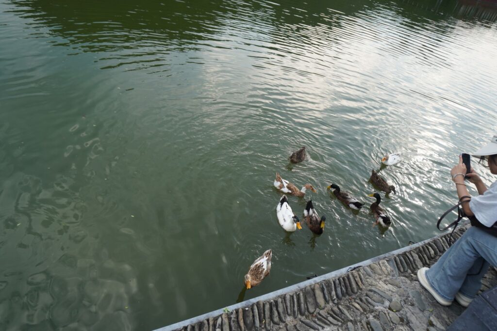 Chiny Wioska Turystyczna 009