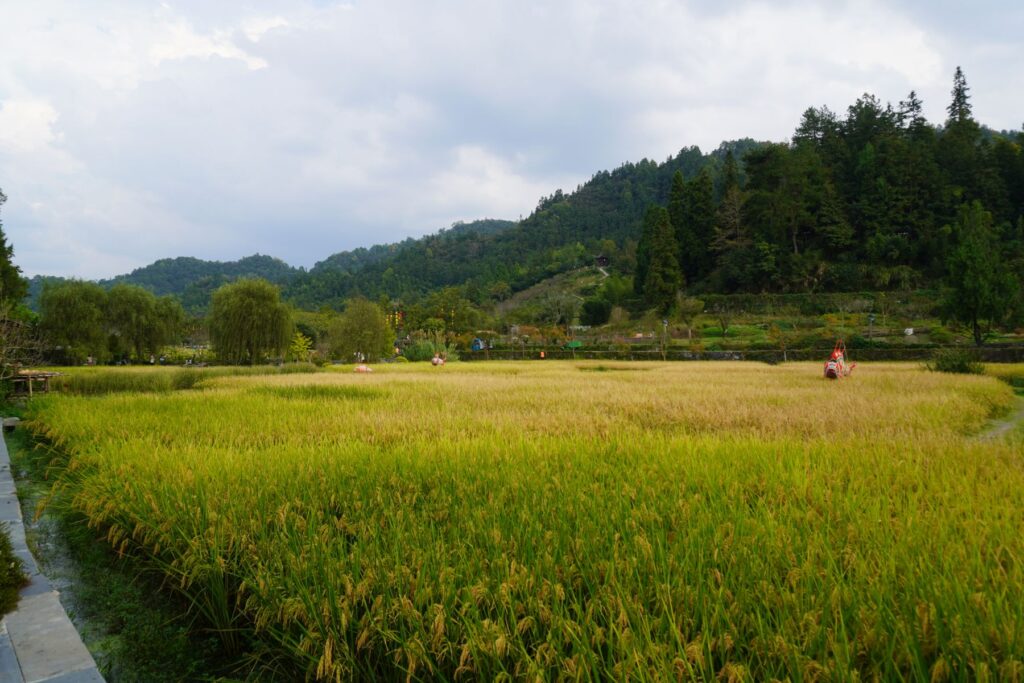 Chiny Wioska Turystyczna 014