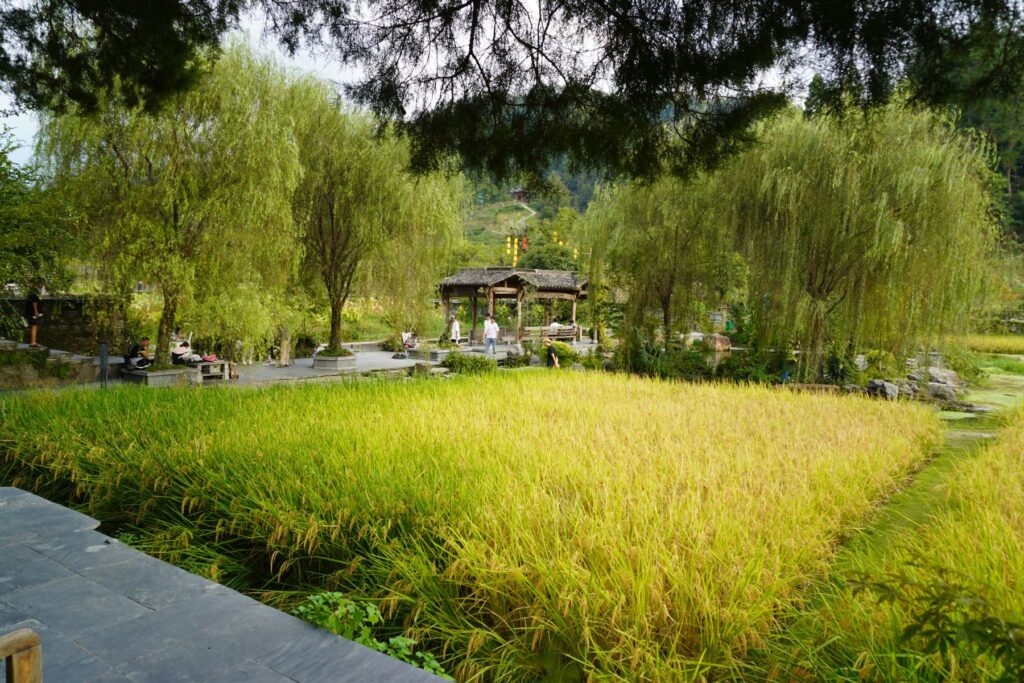 Chiny Wioska Turystyczna 015