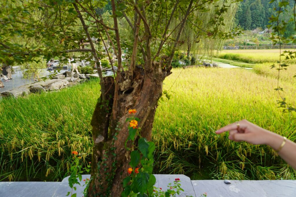 Chiny Wioska Turystyczna 016