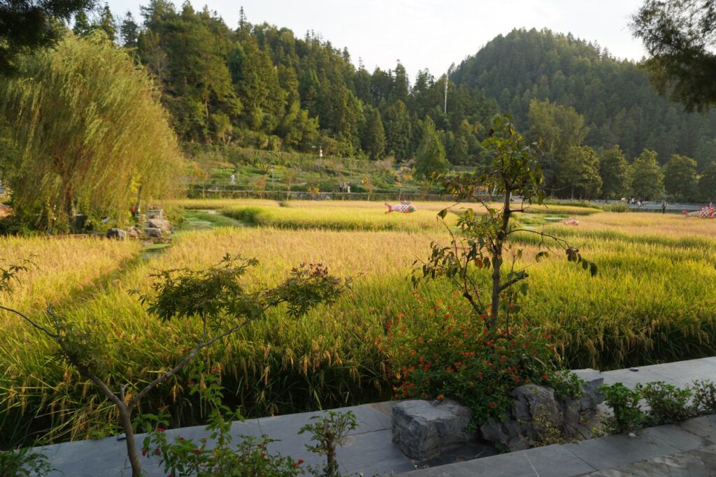 Chiny Wioska Turystyczna 026