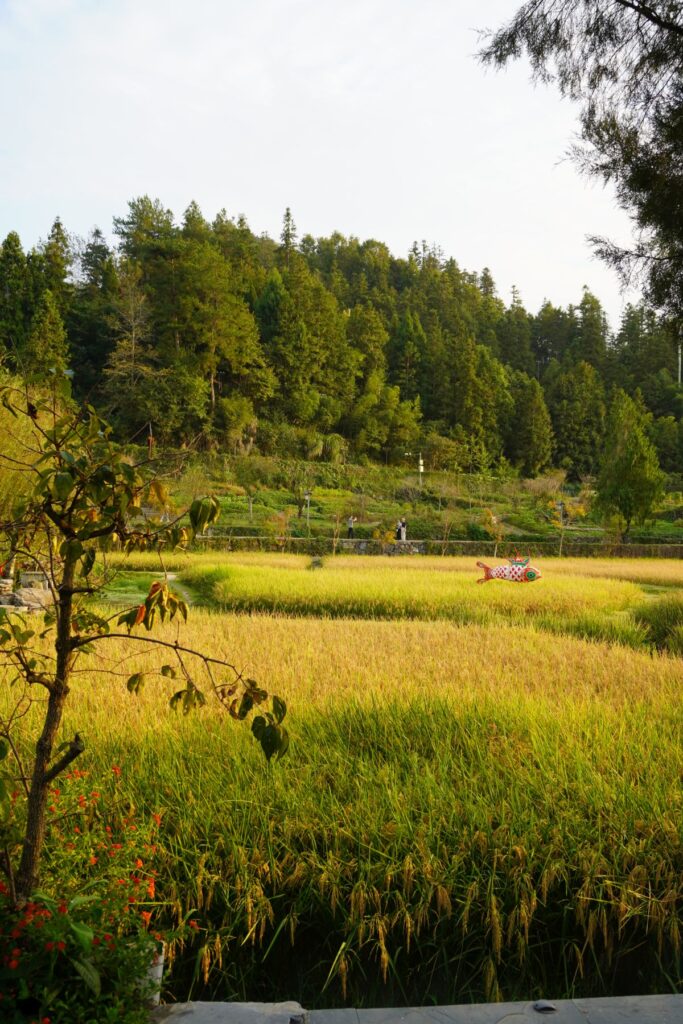 Chiny Wioska Turystyczna 027