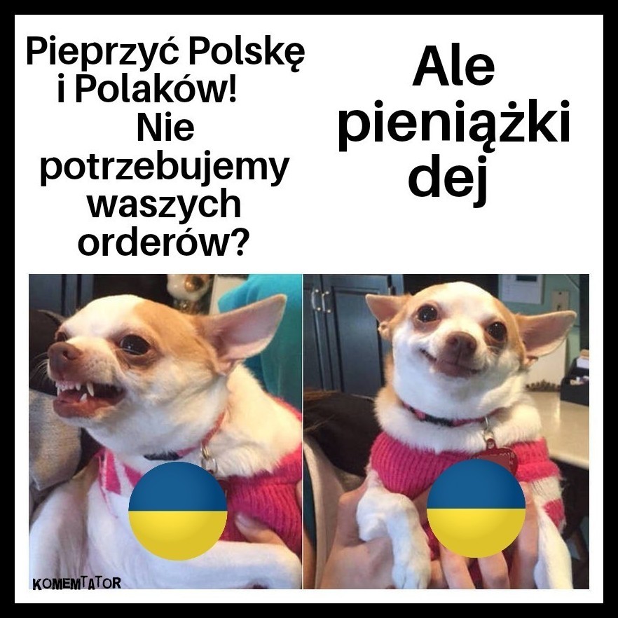ukry potrzebuja kasy mem